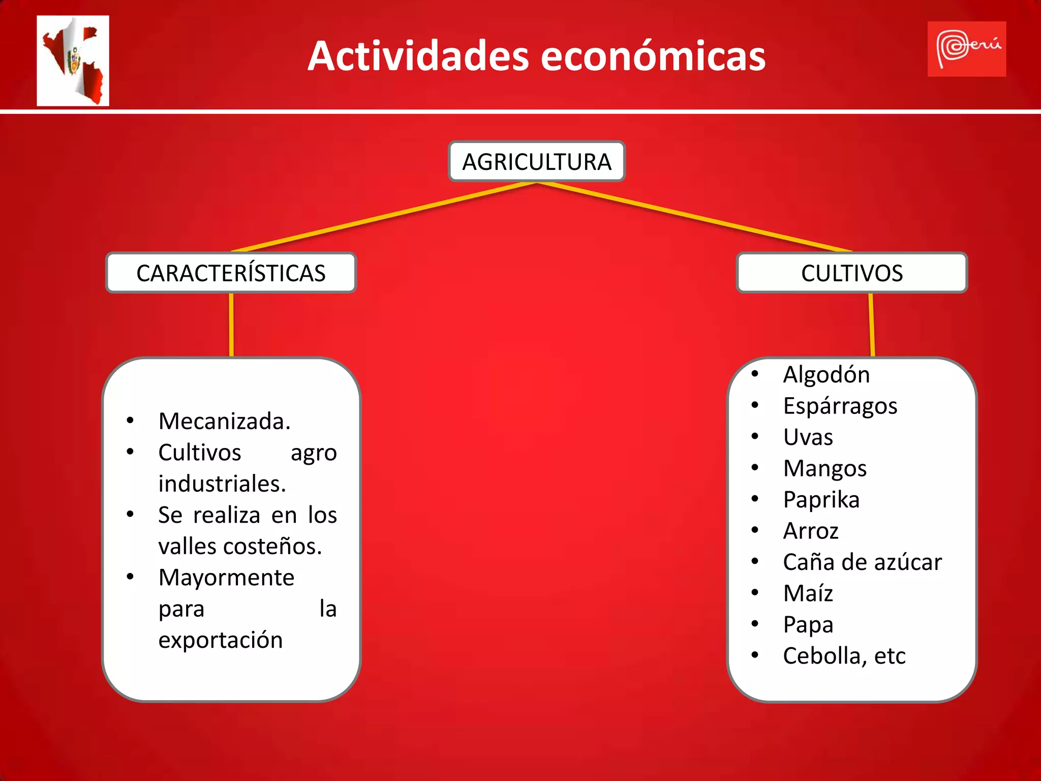 Actividades económicas

                        AGRICULTURA



 CARACTERÍSTICAS                           CULTIVOS


                                      •   Algodón
                                      •   Espárragos
• Mecanizada.
                                      •   Uvas
• Cultivos      agro
                                      •   Mangos
  industriales.
                                      •   Paprika
• Se realiza en los
                                      •   Arroz
  valles costeños.
                                      •   Caña de azúcar
• Mayormente
                                      •   Maíz
  para            la
                                      •   Papa
  exportación
                                      •   Cebolla, etc
 