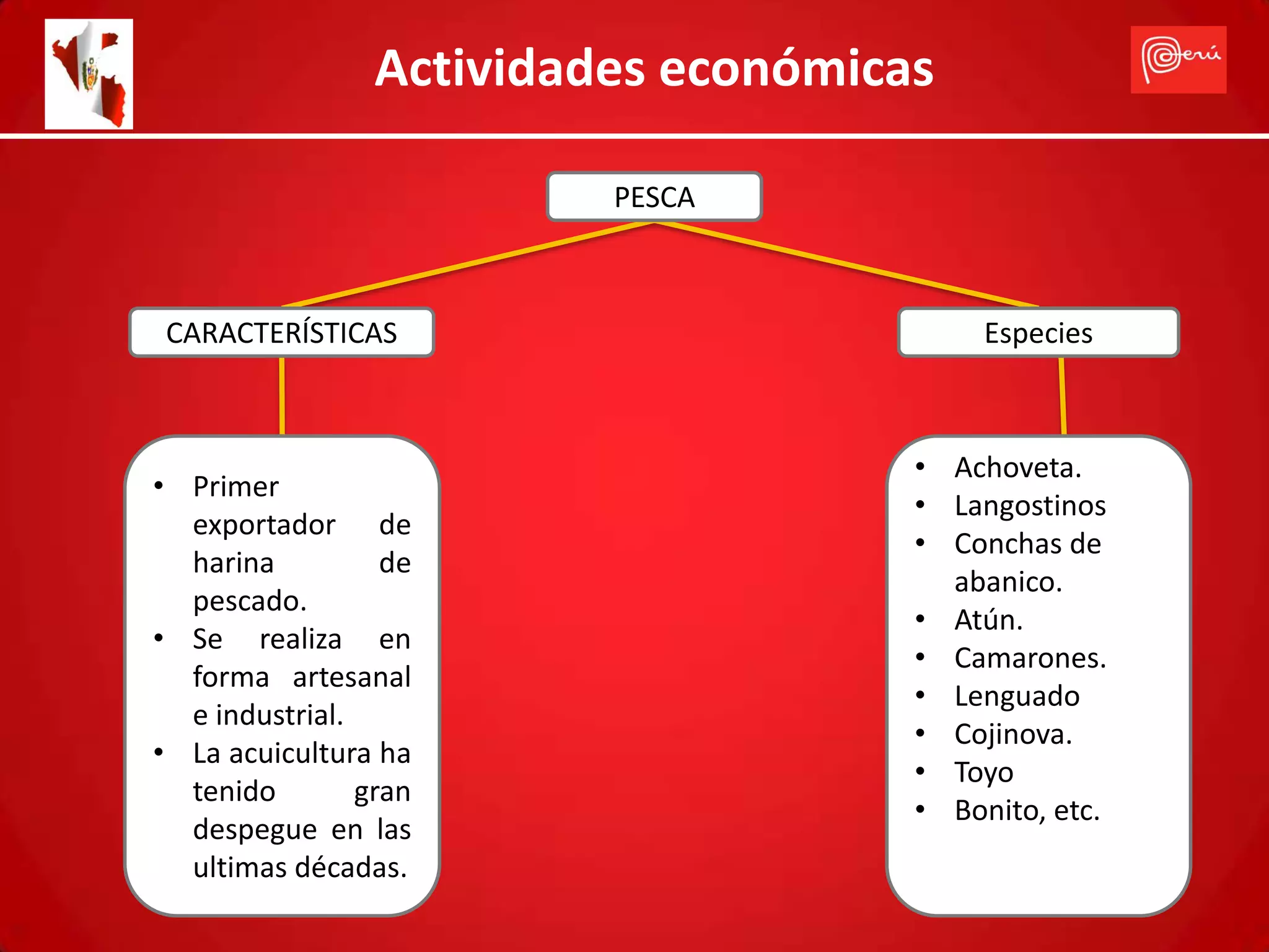 Actividades económicas

                          PESCA



 CARACTERÍSTICAS                           Especies



                                      • Achoveta.
• Primer
                                      • Langostinos
  exportador de
                                      • Conchas de
  harina          de
                                        abanico.
  pescado.
                                      • Atún.
• Se realiza en
                                      • Camarones.
  forma artesanal
                                      • Lenguado
  e industrial.
                                      • Cojinova.
• La acuicultura ha
                                      • Toyo
  tenido        gran
                                      • Bonito, etc.
  despegue en las
  ultimas décadas.
 