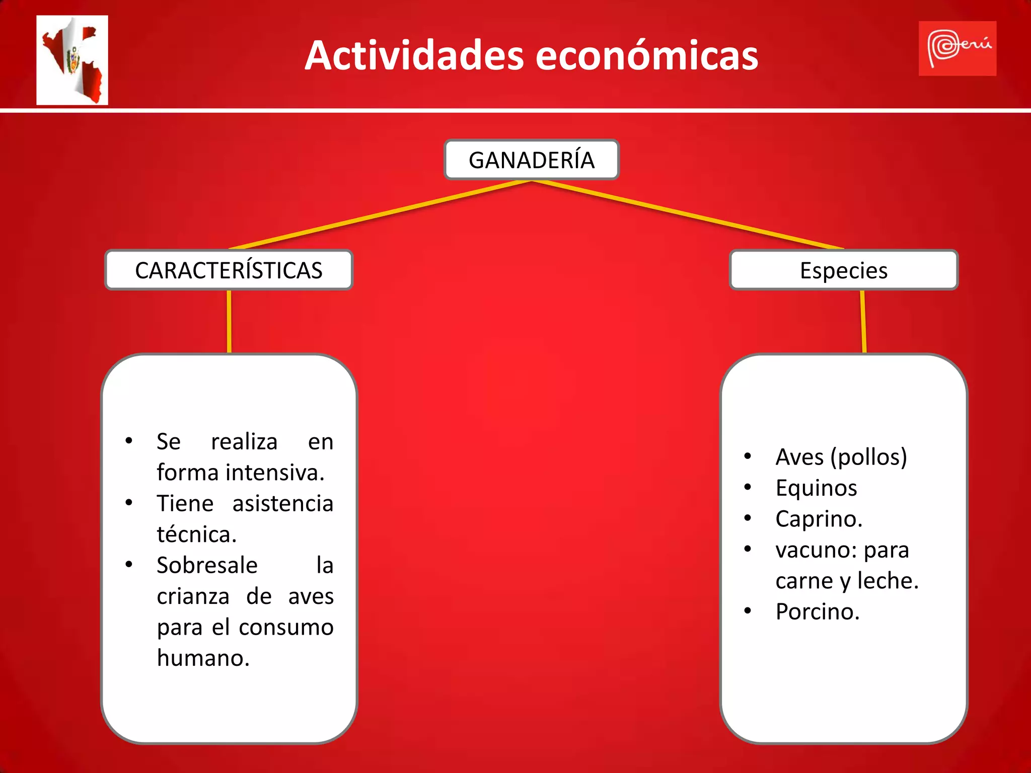 Actividades económicas

                       GANADERÍA



CARACTERÍSTICAS                           Especies




• Se realiza en
                                     • Aves (pollos)
  forma intensiva.
                                     • Equinos
• Tiene asistencia
                                     • Caprino.
  técnica.
                                     • vacuno: para
• Sobresale      la
                                       carne y leche.
  crianza de aves
                                     • Porcino.
  para el consumo
  humano.
 