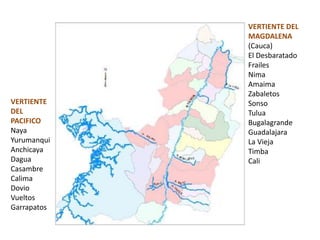 VERTIENTE
DEL
PACIFICO
Naya
Yurumanqui
Anchicaya
Dagua
Casambre
Calima
Dovio
Vueltos
Garrapatos
VERTIENTE DEL
MAGDALENA
(Cauca)
El Desbaratado
Frailes
Nima
Amaima
Zabaletos
Sonso
Tulua
Bugalagrande
Guadalajara
La Vieja
Timba
Cali
 