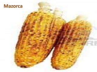 Mazorca
 