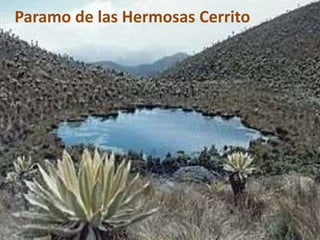 Paramo de las Hermosas Cerrito
 