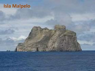 Isla Malpelo
 