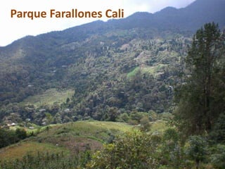Parque Farallones Cali
 