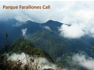 Parque Farallones Cali
 