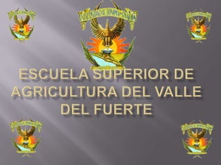 Escuela superior de AGRICULTURA del vallE del fuerte 