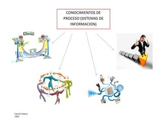 Camila Salazar 
1003 
CONOCIMIENTOS DE PROCESO (SISTEMAS DE INFORMACION) 