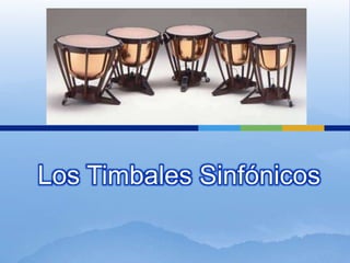 Los Timbales Sinfónicos 