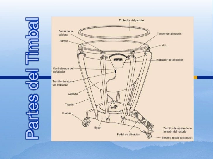 Conocimiento basico del timbal