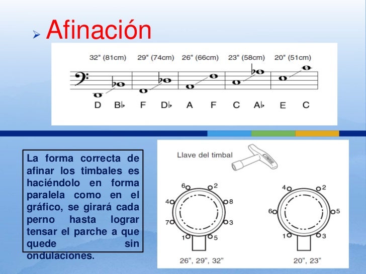 Conocimiento basico del timbal