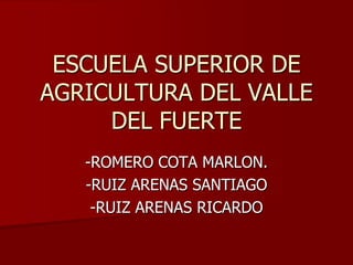 ESCUELA SUPERIOR DE AGRICULTURA DEL VALLE DEL FUERTE -ROMERO COTA MARLON. -RUIZ ARENAS SANTIAGO -RUIZ ARENAS RICARDO  
