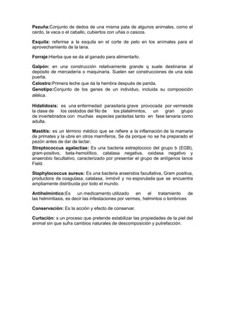 Pezuña:Conjunto de dedos de una misma pata de algunos animales, como el
cerdo, la vaca o el caballo, cubiertos con uñas o cascos.
Esquila: referirse a la esquila en el corte de pelo en los anímales para el
aprovechamiento de la lana.
Forraje:Hierba que se da al ganado para alimentarlo.
Galpón: en una construcción relativamente grande q suele destinarse al
depósito de mercadería o maquinaria. Suelen ser construcciones de una sola
puerta.
Calostro:Primera leche que da la hembra después de parida.
Genotipo:Conjunto de los genes de un individuo, incluida su composición
alélica.
Hidatidosis: es una enfermedad parasitaria grave provocada por vermesde
la clase de los cestodos del filo de los platelmintos, un gran grupo
de invertebrados con muchas especies parásitas tanto en fase larvaria como
adulta.
Mastitis: es un término médico que se refiere a la inflamación de la mamaria
de primates y la ubre en otros mamíferos. Se da porque no se ha preparado el
pezón antes de dar de lactar.
Streptococcus agalactiae: Es una bacteria estreptococo del grupo b (EGB),
gram-positivo, beta-hemolítico, catalasa negativa, oxidasa negativo y
anaerobio facultativo, caracterizado por presentar el grupo de antígenos lance
Field.
Staphylococcus aureus: Es una bacteria anaerobia facultativa, Gram positiva,
productora de coagulasa, catalasa, inmóvil y no esporulada que se encuentra
ampliamente distribuida por todo el mundo.
Antihelmíntico:Es un medicamento utilizado en el tratamiento de
las helmintiasis, es decir las infestaciones por vermes, helmintos o lombrices
Conservación: Es la acción y efecto de conservar.
Curtación: s un proceso que pretende estabilizar las propiedades de la piel del
animal sin que sufra cambios naturales de descomposición y putrefacción.
 
