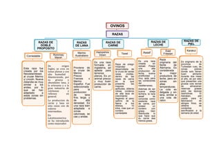 OVINOS
RAZAS
RAZAS DE
DOBLE
PROPOSITO
Corriedable
Esta raza fue
creada por los
Neozelandeses
al cruzar Merino
x Lincoln. Nueva
Zelandia es muy
similar a los
andes, por lo
que se han
adaptado a
estas zonas sin
problemas.
Rommey
Marsh
De origen
Ingles, se crea en
zonas planas y con
alta humedad .
Abasteciendo, por
su gruesa y
abundante lana, a
la artesania y a la
gran industria de
colchones y
rellenos en
general.
La produccion de
carne y lana en
esta razas con de
valores
intermedios.
En
Latatinoamerica
se ha introducido
como mejorador.
RAZAS
DE LANA
Merino
Australiano
Proviene de
la cruza de
Merino
Precoz
Frances x
Merino
Español. Fue
seleccionada
para la
produccion
de lana
fina, larga, y
de alta
densidad. Es
una raza bien
adaptada a
zonas
calurosas, se
cas y aridas.
RAZAS DE
CARNE
Hampshire
Down
Es una raza
formada en
Inglaterra, ad
aptada para
terrenos
planos. Es un
animal precoz
y muy buen
producctor de
carne.
Texel
Raza de oriegn
Holandez
desarrollada de
la cruza de varias
razas criollas.
dentro de las
razas de carne
es la que
presenta las
mejores
aptitudes, obtenie
ndose corderos
de alta taza de
crecimiento
llegando al peso
optimo de la
faena a los
40kilos, 10
kilos, mas que un
cordero
corriedable
RAZAS DE
LECHE
Assaf
Es una raza
creada en
isdrael. Posee
una alta
produccion de
leche, buena
prolificidad y
muy apta para
las condiciones
del
mediterraneo.
Ademas de ser
buena obeja
lechera, la raza
assaf es
conocida como
exelente raza
de carne, por
poseer un
cordero con
grasa bien
distribuida lo
que hace que
su carne sea
menos grasa.
East
Friesian
Raza
originaria del
Norte de
Alemania. Es
considerada
la mejor
productora de
leche, pero en
zonas sin
altas
temperaturas.
La cola es
delgada y sin
lana, similar a
una cola de
raton.
RAZAS DE
PIEL
Karakul
Es originario de la
provincia de
Turkestan ruso, de
zonas pobres
donde solo tienen
buen alimento
durante dos mese
al año, es por esto
que presentan una
gruesa cola donde
se almacenan
reservas grasas
para las epocas
restrictivas. El
Astrakan, piel
usada para la
fabricacion de
abrigos finos, se
obtiene de
corderitos
sacrificados a la
semana de edad.
 