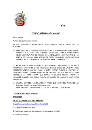3°B
CONOCIMIENTO DEL MUNDO
1-Las plantas.
Parte I: Las partes de las plantas
EN LAS SIGUIENTES ACTIVIDADES TRABAJAREMOS CO...
