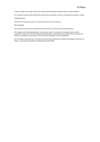 12/Página

Luego se dirige hacia abajo y atrás por sobre el esternocleidomastoideo hasta su borde posterior.

En la región supraclavicular perfora las aponeurosis superficial y media y se dirige hacia adentro y abajo.

TERMINACIÓN.

Termina en la base del cuello en la subclavia cerca de su terminación.

RELACIONES.

En la parótida se encuentra por dentro del nervio facial y por fuera de la carótida externa.

En la región esternocleidomastoidea, se encuentra primero envainada en la aponeurosis cervical
superficial, luego en la vaina del esternocleidomastoideo, y posteriormente el tejido celular subcutáneo,
donde se encuentra por fuera de la rama transversa del plexo cervical superficial.

En el triángulo supraclavicular, atraviesa la aponeurosis superficial por detrás del repliegue falciforme de
Dittel y la aponeurosis media por debajo del omohioideo.
 