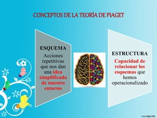 CONCEPTOS DE LA TEORÍA DE PIAGET
ESQUEMA
Acciones
repetitivas
que nos dan
una idea
simplificada
de nuestro
entorno
ESTRUCTURA
Capacidad de
relacionar los
esquemas que
hemos
operacionalizado
 