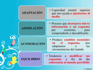 • Capacidad mental superior
que nos ayuda a ajustarnos al
medio
ADAPTACIÓN
• Proceso que incorpora nueva
información a un esquema
pre existente, para
comprenderlo o decodificarlo
ASIMILACIÓN
• Produce cambios esenciales
en el esquema, nos
adaptamos a las
circunstancias del mundo
ACOMODACIÓN
• Tendencia a modificar sus
esquemas a fin de dar
coherencia al mundo percibido
EQUILIBRIO
 