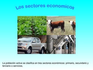 La población activa se clasifica en tres sectores económicos: primario, secundario y
terciario o servicios.
 