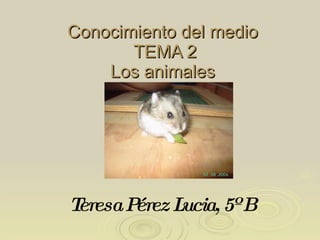 Conocimiento del medio   TEMA 2 Los animales Teresa Pérez Lucia, 5º B 