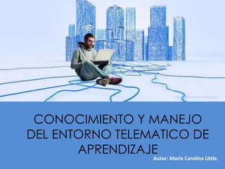 CONOCIMIENTO Y MANEJO
DEL ENTORNO TELEMATICO DE
APRENDIZAJE
Autor: María Carolina Little.
http://juandomingofarnos.wordpress.com
 