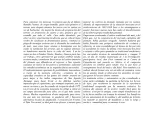 Para comenzar, los mixtecas recordaron que fue el difunto
Ranulfo Fuentes, de origen humilde, quien rayó primero el
terreno para después ahondar los surcos con las yuntas, en
vez de barbechar. Así mejoró la técnica de preparación del
terreno en proporción de cuatro a uno, práctica que se
extendió por todo el valle. Otro indio descubrió, por
observación y experimentación directa, que al colocar hojas
verdes de casahuate en determinados puntos, combatía la
plaga de hormigas arrieras que le diezmaba los sembrados
de maíz, pues estas hojas atraían a hormiguitas con las
cuales se satisfacían las arrieras, que no seguían entonces
su hambrienta marcha hacia la caña del maíz. Y en los
viajes hechos a Estados Unidos, Sinaloa y Sonora para bus-
car trabajo, otros aprendieron que podían sembrar sandía
en tierra mala y asimilaron las técnicas del cultivo intensivo
del jitomate que difundieron al regresar a San Agustín,
causando un vuelco en los cultivos y permitiendo- aumentar
las entradas económicas en las pequeñas fincas ancestrales.
El redescubrimiento oportuno de posibilidades innovadoras
a través de la memoria colectiva —evidencia de la
capacidad creadora en las gentes del común- preparó un
poco mejor a los indios campesinos de San Agustín
Atenango para hacer frente a los difíciles cambios
impuestos por el capitalismo, que irrumpió serpeando por la
nueva carretera y por los canales de irrigación desde 1972.
La presión de la economía monetaria los obligó a entrar en
un campo desconocido para ellos, en el que todo cuesta
dinero. Muchos respondieron al reto emigrando, pero otros,
los que más nos interesan, se quedaron allí y buscaron
alternativas locales de adaptación. Y creación Don Vicente,
el Tata Yiva actual, se ideó prácticas eficaces y baratas para
mejorar los cultivos de jitomate, imitadas por los vecinos
Además, el empeoramiento de la situación mexicana en el
otoño-invierno de 1982-1983 llevó a los atenanguenses a
asumir funciones nuevas para las cuales el descubrimiento
de la historia propia resultó fundamental.
Empezaron revalorando el cultivo tradicional del maíz y del
fríjol que, por la competencia del mercado capitalista del
jitomate, había quedado relegado. También hallaron que
había florecido una próspera explotación de cerámica y
alfarería, en vetas escondidas por el desuso de las que sólo
se acordaban los viejos. La última crisis mexicana los forzó
a recurrir a ellas para apuntalar su tradicional autoforma y
las ancestrales técnicas de autosubsistencia .y trueque. Y
así, un día, de resultas inesperadas de 1 la investigación
participativa local, don Pilar comentó en el Centro de
Capacitación qué pasaría en México si el campesino
decidiera no sembrar para vender. Fue lo que llevó al
resurgimiento local del maíz y del fríjol. Pero también a la
radical idea de formar otra vez un taller de cerámica, corno
los de antaño, donde se fabricaran los utensilios sin tener
que gastar del escaso dinero contante.
La tendencia crítica y autonomista se fue extendiendo a
otras partes olvidadas: la sastrería, la herrería, los hornos
de tejas, que recibieron la inyección de la experiencia
tradicional recuperada por la, memoria colectiva. La
técnica del amasijo de la arcil1a resultó fácil para las
señoras: si no por lo antigua, como simple transferencia de
la de hacer tortillas con la masa de nixtamal. Los beneficios
de ese autoexamen de la realidad y, del análisis de la histo-
ria reciente se pusieron de manifiesto a todo lo largo y
ancho la comunidad para reconstruir la eco-
 