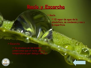 Rocío y Escarcha
                                   Rocío
                                       El vapor de agua de la
                                      atmósfera, se condensa y cae a
                                      la superficie.




 Escarcha
    Se produce en las mismas
   condiciones que el rocío, pero a
   temperaturas por debajo de 0º C.
 