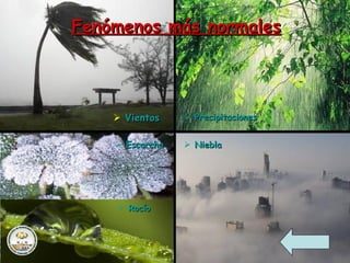  VientosVientos
 NieblaNiebla
 PrecipitacionesPrecipitaciones
 EscarchaEscarcha
 RocíoRocío
Fenómenos más normalesFenómenos más normales
 