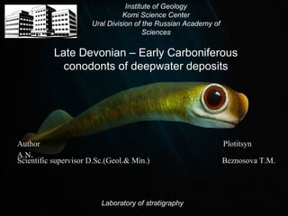 Institute of Geology 
Komi Science Center 
Ural Division of the Russian Academy of 
Sciences 
Late Devonian – Early Carboniferous 
conodonts of deepwater deposits 
Author Plotitsyn 
A.N. Scientific supervisor D.Sc.(Geol.& Min.) Beznosova T.M. 
Laboratory of stratigraphy 
 