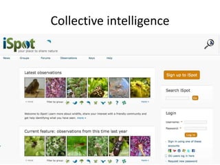 Collective intelligence
 