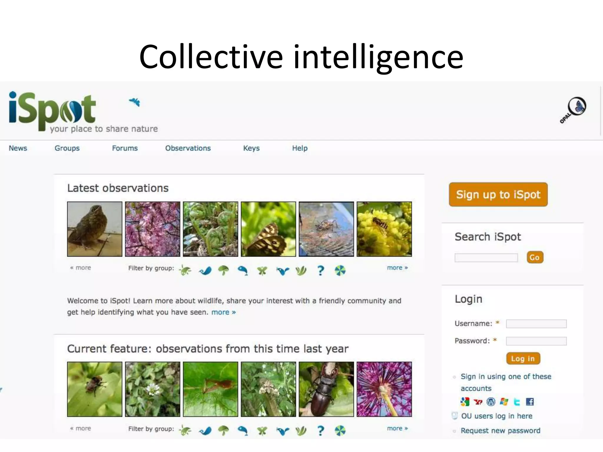 Collective intelligence
 