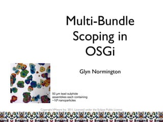 Multi-Bundle
                      Scoping in
                        OSGi
                                Glyn Normington


         50 µm lead sulphide
         assemblies each containing
         ~108 nanoparticles


Copyright VMware Inc. 2011. Licensed under the Eclipse Public License
 