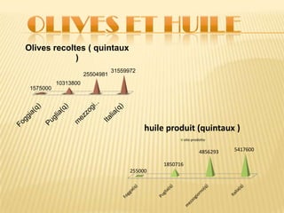 1575000
10313800
25504981
31559972
Olives recoltes ( quintaux
)
255000
1850716
4856293 5417600
huile produit (quintaux )
olio prodotto
 