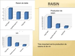 RAISIN
Très important est la production de
raisins et de vin
Raisin de table
vin
Production de
raisin
 