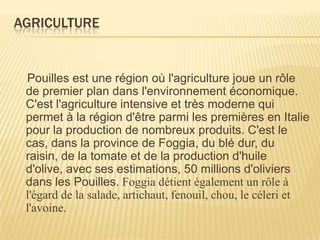 AGRICULTURE
Pouilles est une région où l'agriculture joue un rôle
de premier plan dans l'environnement économique.
C'est l'agriculture intensive et très moderne qui
permet à la région d'être parmi les premières en Italie
pour la production de nombreux produits. C'est le
cas, dans la province de Foggia, du blé dur, du
raisin, de la tomate et de la production d'huile
d'olive, avec ses estimations, 50 millions d'oliviers
dans les Pouilles. Foggia détient également un rôle à
l'égard de la salade, artichaut, fenouil, chou, le céleri et
l'avoine.
 