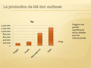 0
200,000
400,000
600,000
800,000
1,000,000
1,200,000
1,400,000
ha
ha
Foggia a une
grande
superficie de
terres utilisées
pour les
cultures de blé
 