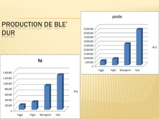 PRODUCTION DE BLE’
DUR
poids
 