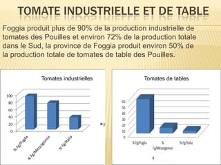 TOMATE INDUSTRIELLE ET DE TABLE
Foggia produit plus de 90% de la production industrielle de
tomates des Pouilles et environ 72% de la production totale
dans le Sud, la province de Foggia produit environ 50% de
la production totale de tomates de table des Pouilles.
Tomates industrielles Tomates de tables
 