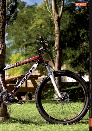 MTB037




MONTAÑA   BMX/FREERIDE   RUTA   TREKKING   CONFORT   E-BIKES   PLEGABLES   JUNIOR   INFANTIL
 