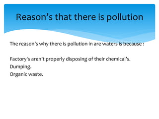 The reason’s why there is pollution in are waters is because :
Factory's aren’t properly disposing of their chemical’s.
Dumping.
Organic waste.
Reason’s that there is pollution
 