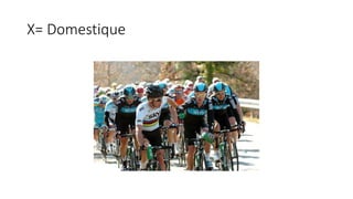 X= Domestique
 