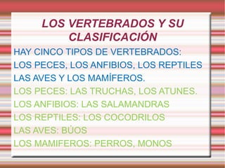 LOS VERTEBRADOS Y SU CLASIFICACIÓN HAY CINCO TIPOS DE VERTEBRADOS: LOS PECES, LOS ANFIBIOS, LOS REPTILES LAS AVES Y LOS MAMÍFEROS. LOS PECES: LAS TRUCHAS, LOS ATUNES. LOS ANFIBIOS: LAS SALAMANDRAS LOS REPTILES: LOS COCODRILOS LAS AVES: BÚOS LOS MAMIFEROS: PERROS, MONOS  