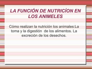 LA FUNCIÓN DE NUTRICÍON EN LOS ANIMELES Cómo realizan la nutrición los animales:La toma y la digestión  de los alimentos. La excreción de los desechos. 