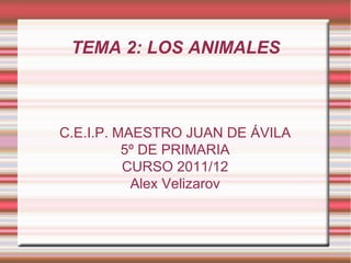 TEMA 2: LOS ANIMALES



C.E.I.P. MAESTRO JUAN DE ÁVILA
          5º DE PRIMARIA
          CURSO 2011/12
           Alex Velizarov
 