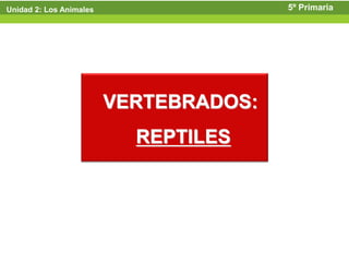 Unidad 2: Los Animales                  5º Primaria




                         VERTEBRADOS:
                           REPTILES
 