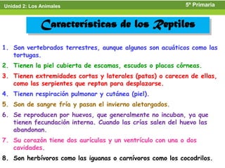 Unidad 2: Los Animales                                     5º Primaria


              Características de los Reptiles
1. Son vertebrados terrestres, aunque algunos son acuáticos como las
   tortugas.
2. Tienen la piel cubierta de escamas, escudos o placas córneas.
3. Tienen extremidades cortas y laterales (patas) o carecen de ellas,
   como las serpientes que reptan para desplazarse.
4. Tienen respiración pulmonar y cutánea (piel).
5. Son de sangre fría y pasan el invierno aletargados.
6. Se reproducen por huevos, que generalmente no incuban, ya que
   tienen fecundación interna. Cuando las crías salen del huevo las
   abandonan.
7. Su corazón tiene dos aurículas y un ventrículo con una o dos
   cavidades.
8. Son herbívoros como las iguanas o carnívoros como los cocodrilos.
 