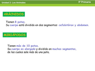 Unidad 2: Los Animales                                       5º Primaria




 ARÁCNIDOS

   Tienen 8 patas.
   Su cuerpo está dividido en dos segmentos: cefalotórax y abdomen.


 MIRIÁPODOS


     Tienen más de 10 patas.
     Su cuerpo es alargado y dividido en muchos segmentos,
     de los cuales sale más de una pata.
 