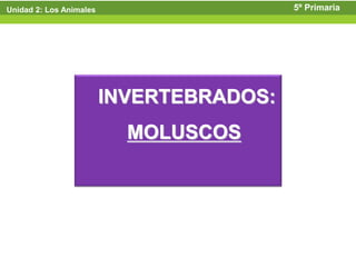 Unidad 2: Los Animales                    5º Primaria




                         INVERTEBRADOS:
                           MOLUSCOS
 