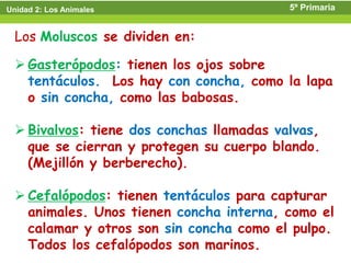 Unidad 2: Los Animales                     5º Primaria


  Los Moluscos se dividen en:

   Gasterópodos: tienen los ojos sobre
    tentáculos. Los hay con concha, como la lapa
    o sin concha, como las babosas.

   Bivalvos: tiene dos conchas llamadas valvas,
    que se cierran y protegen su cuerpo blando.
    (Mejillón y berberecho).

   Cefalópodos: tienen tentáculos para capturar
    animales. Unos tienen concha interna, como el
    calamar y otros son sin concha como el pulpo.
    Todos los cefalópodos son marinos.
 