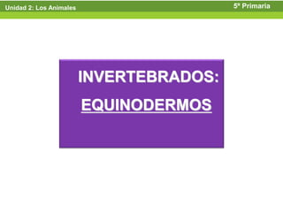 Unidad 2: Los Animales                    5º Primaria




                         INVERTEBRADOS:
                         EQUINODERMOS
 