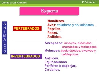 Unidad 2: Los Animales                             5º Primaria


                         Esquema
                           Mamíferos.
 A                         Aves: voladoras y no voladoras.
 N        VERTEBRADOS      Reptiles.
 I                         Peces.
 M                         Anfibios.
 A
 L                        Artrópodos: insectos, arácnidos,
 E                                    crustáceos y miriápodos.
 S                        Moluscos: gasterópodos, bivalvos y
                                     cefalópodos.
        INVERTEBRADOS
                          Anélidos.
                          Equinodermos.
                          Poríferos o esponjas.
                          Cnidarios.
 